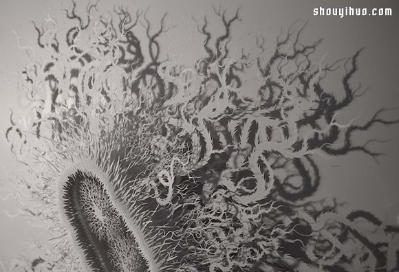 原來細(xì)菌也能這么美！超精細(xì)微生物紙雕 -  rpnrmr.com