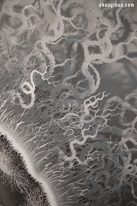 原來細(xì)菌也能這么美！超精細(xì)微生物紙雕 -  rpnrmr.com