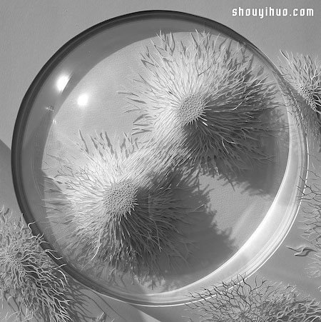 原來細(xì)菌也能這么美！超精細(xì)微生物紙雕 -  rpnrmr.com