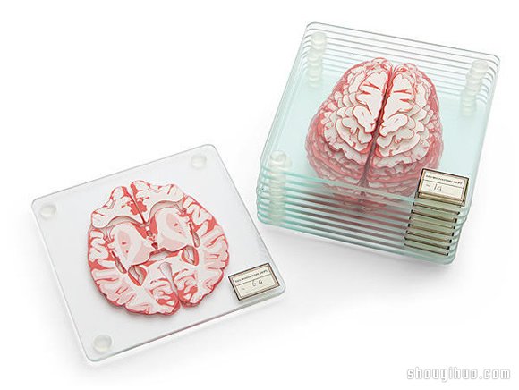 ThinkGeek 推出的大腦切片玻璃杯墊 -  rpnrmr.com
