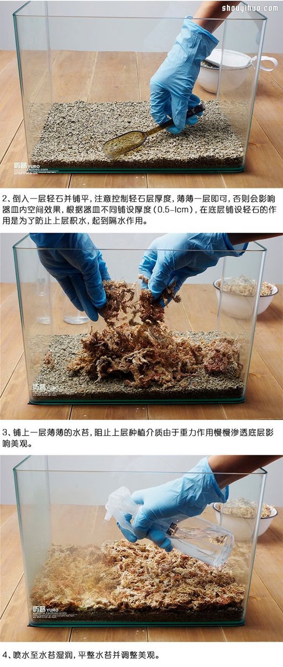 苔蘚微景觀制作材料及方法詳細圖解教程 -  rpnrmr.com