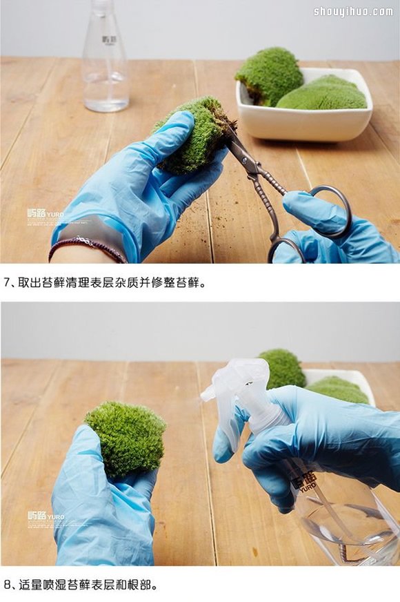 苔蘚微景觀制作材料及方法詳細圖解教程 -  rpnrmr.com