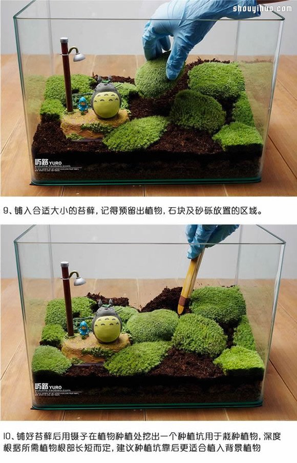苔蘚微景觀制作材料及方法詳細圖解教程 -  rpnrmr.com