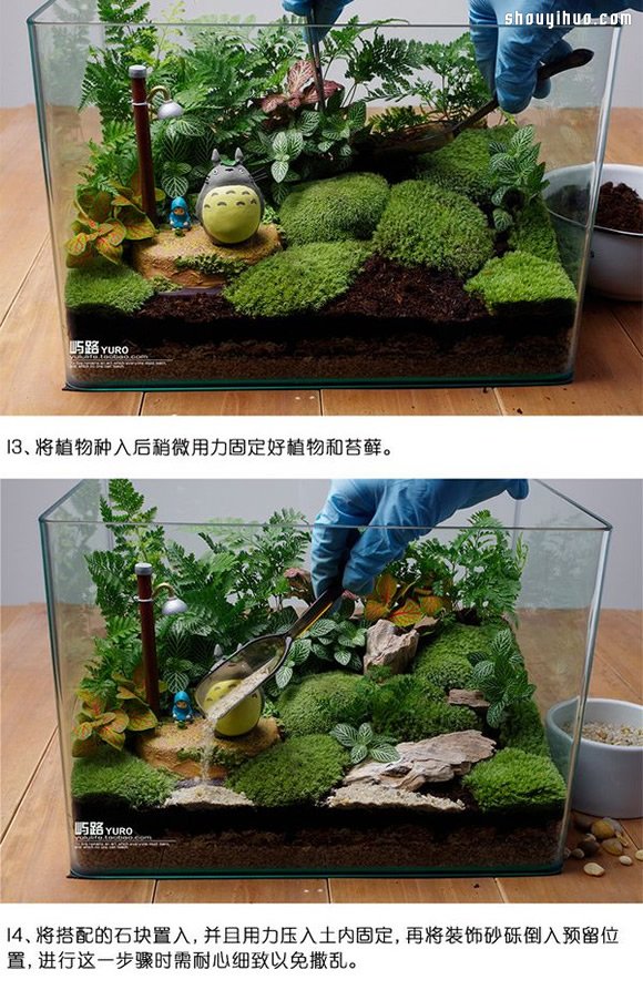 苔蘚微景觀制作材料及方法詳細圖解教程 -  rpnrmr.com