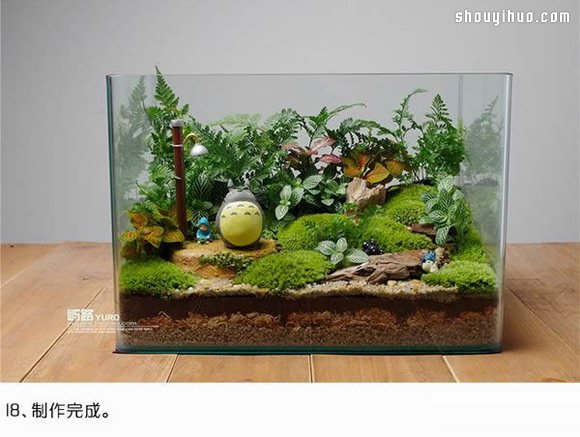 苔蘚微景觀制作材料及方法詳細圖解教程 -  rpnrmr.com