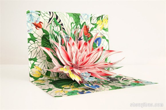 Bozena Rydlewska 的3D立體紙雕書 -  rpnrmr.com
