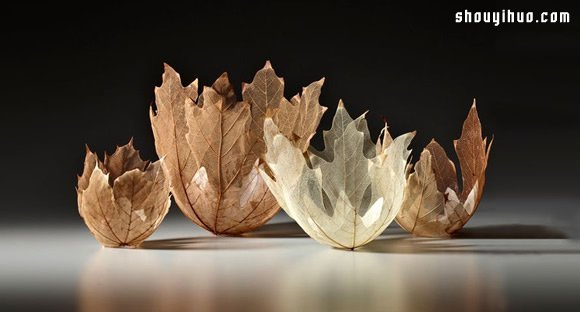 Kay Sekimachi 干枯葉子制作葉片碗雕塑 -  rpnrmr.com
