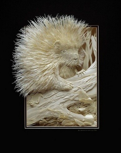 Calvin Nicholls 的創(chuàng)意紙雕藝術(shù)作品欣賞 -  rpnrmr.com