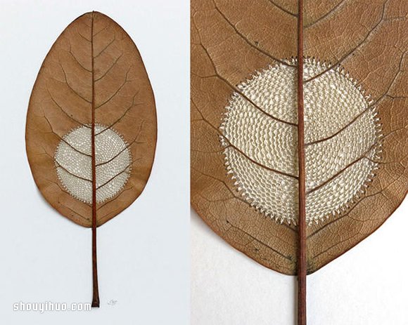Susanna Bauer縫紉作品 在枯葉上穿針引線 -  rpnrmr.com