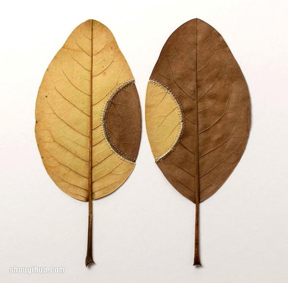 Susanna Bauer縫紉作品 在枯葉上穿針引線 -  rpnrmr.com