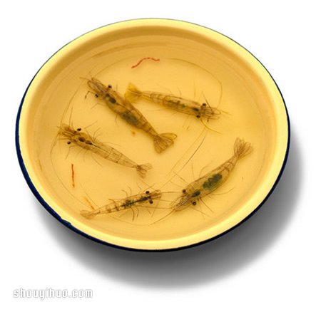 深堀隆介利用樹脂創(chuàng)作栩栩如生的3D藝術(shù)畫 -  rpnrmr.com