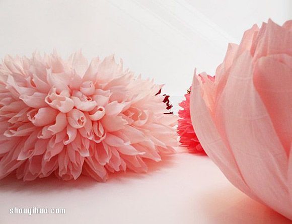 Tiffanie Turner的大型紙藝花卉作品欣賞 -  rpnrmr.com