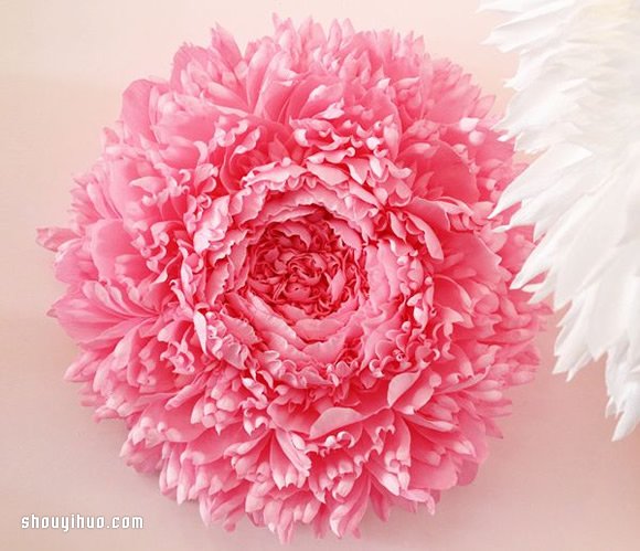 Tiffanie Turner的大型紙藝花卉作品欣賞 -  rpnrmr.com