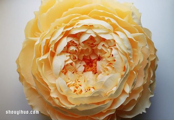 Tiffanie Turner的大型紙藝花卉作品欣賞 -  rpnrmr.com