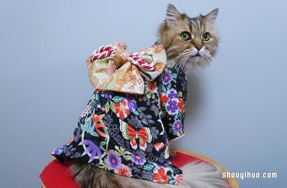與和服解下不解之緣 超可愛的貓星人和服 -  rpnrmr.com