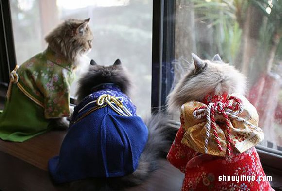 與和服解下不解之緣 超可愛的貓星人和服 -  rpnrmr.com