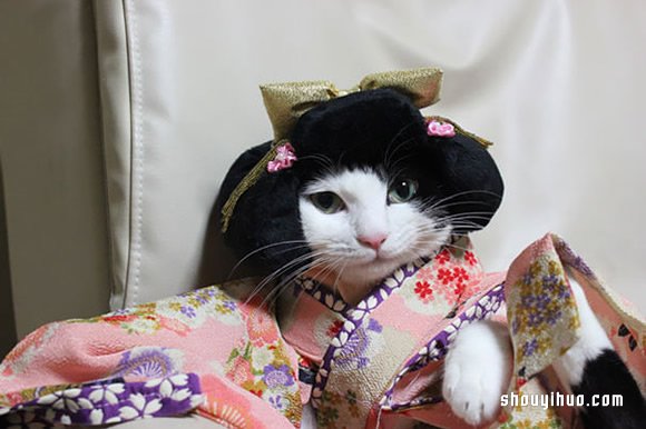與和服解下不解之緣 超可愛的貓星人和服 -  rpnrmr.com