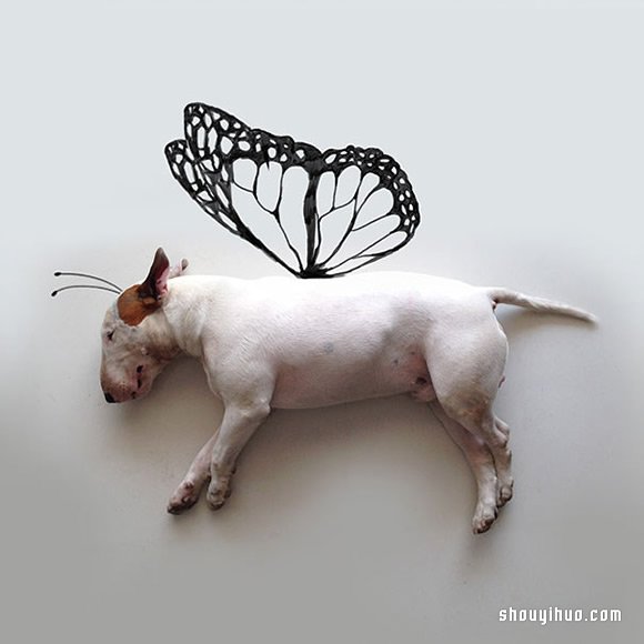 墻上涂鴉：將愛犬化成趣味插畫作品 -  rpnrmr.com