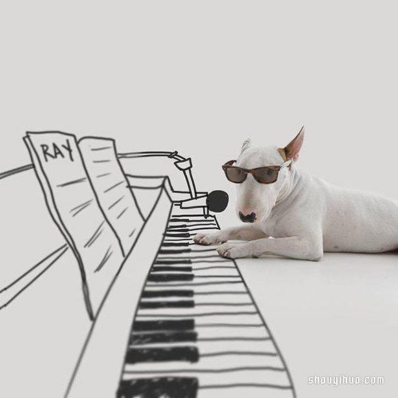 墻上涂鴉：將愛犬化成趣味插畫作品 -  rpnrmr.com