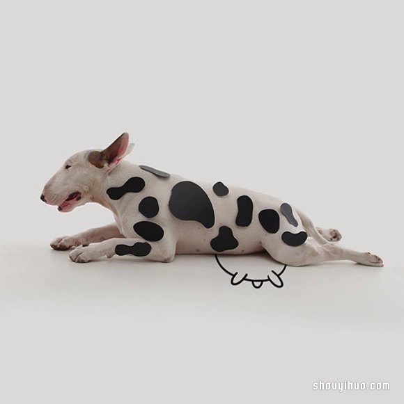 墻上涂鴉：將愛犬化成趣味插畫作品 -  rpnrmr.com