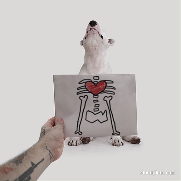 墻上涂鴉：將愛犬化成趣味插畫作品 -  rpnrmr.com
