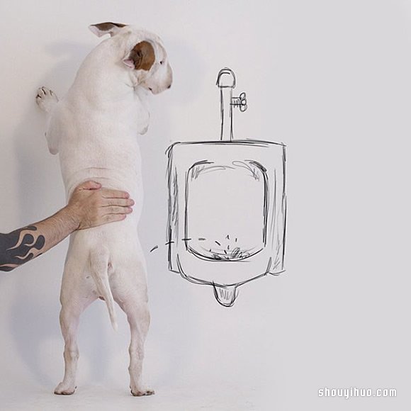 墻上涂鴉：將愛犬化成趣味插畫作品 -  rpnrmr.com