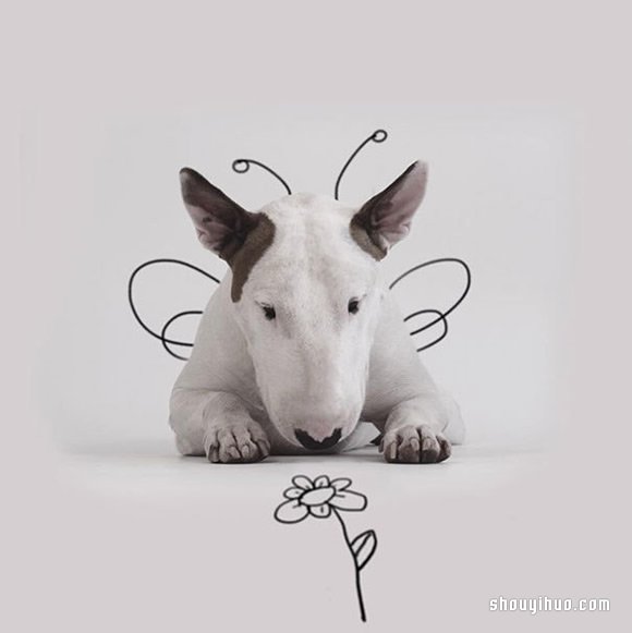 墻上涂鴉：將愛犬化成趣味插畫作品 -  rpnrmr.com