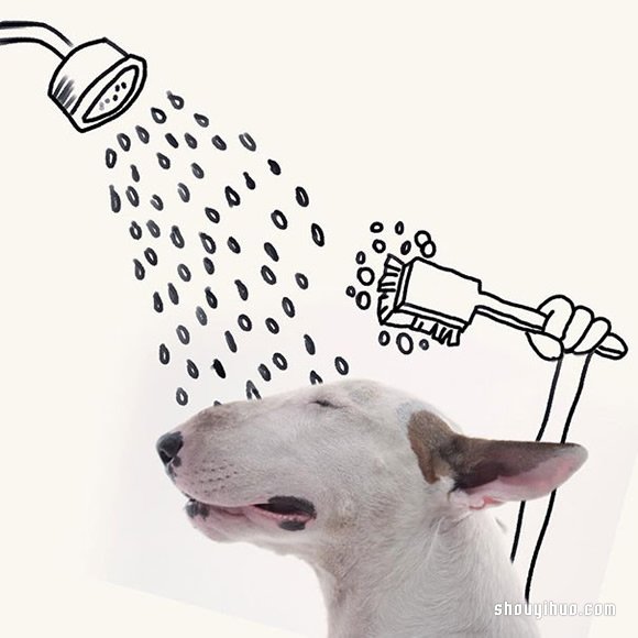 墻上涂鴉：將愛犬化成趣味插畫作品 -  rpnrmr.com