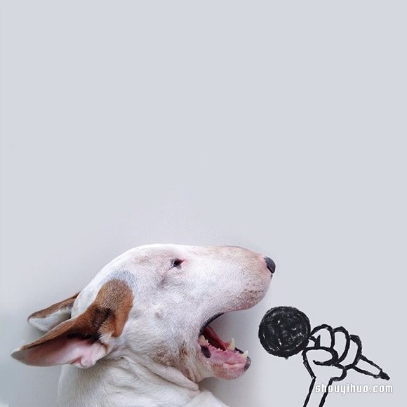 墻上涂鴉：將愛犬化成趣味插畫作品 -  rpnrmr.com