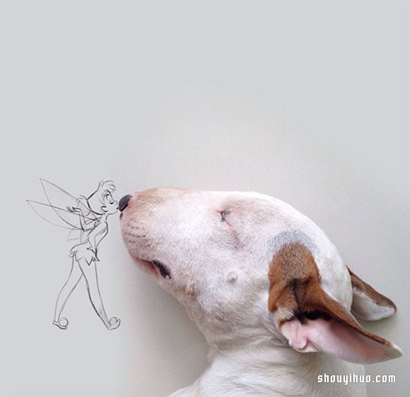 墻上涂鴉：將愛犬化成趣味插畫作品 -  rpnrmr.com