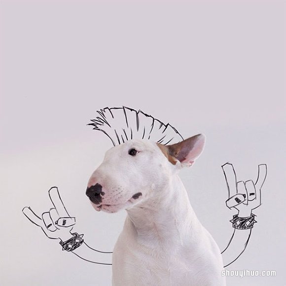 墻上涂鴉：將愛犬化成趣味插畫作品 -  rpnrmr.com
