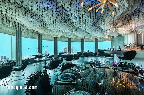 夢幻美麗的水下餐廳 就在渡假勝地馬爾地夫 -  rpnrmr.com