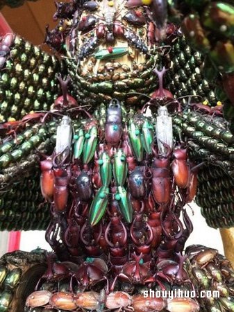 慎入！用昆蟲(chóng)尸體制作武士盔甲和千手觀音 -  rpnrmr.com