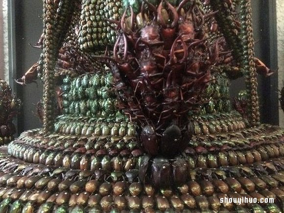 慎入！用昆蟲(chóng)尸體制作武士盔甲和千手觀音 -  rpnrmr.com