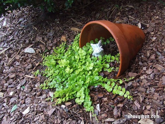 Spilled Flower Pots園藝法 讓后院成畫卷 -  rpnrmr.com