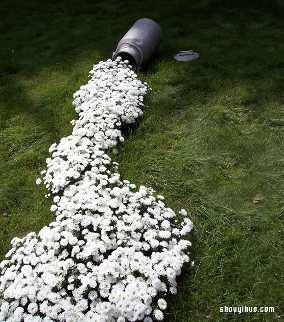 Spilled Flower Pots園藝法 讓后院成畫卷 -  rpnrmr.com