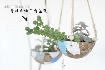 廢物利用創(chuàng)意花盆盆栽DIY -  rpnrmr.com