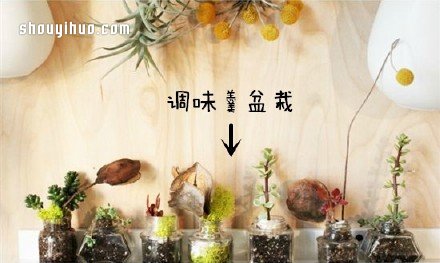 廢物利用創(chuàng)意花盆盆栽DIY -  rpnrmr.com