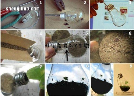 廢物利用創(chuàng)意花盆盆栽DIY -  rpnrmr.com