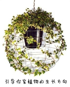 廢物利用創(chuàng)意花盆盆栽DIY -  rpnrmr.com