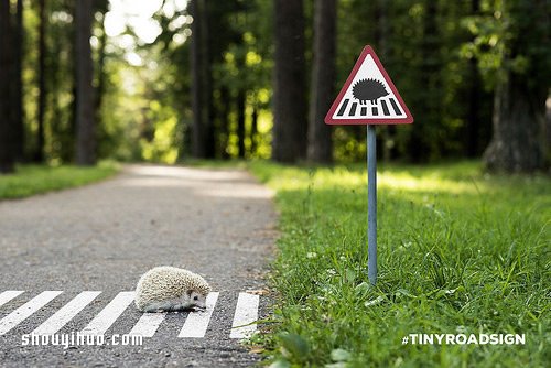 立陶宛為了動物居民打造的溫暖迷你路標(biāo) -  rpnrmr.com