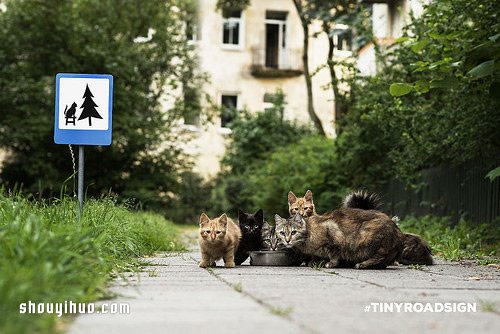 立陶宛為了動物居民打造的溫暖迷你路標(biāo) -  rpnrmr.com