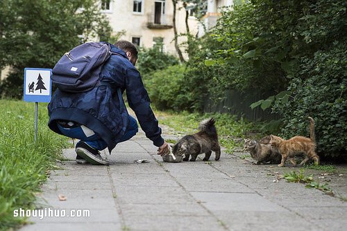 立陶宛為了動物居民打造的溫暖迷你路標(biāo) -  rpnrmr.com