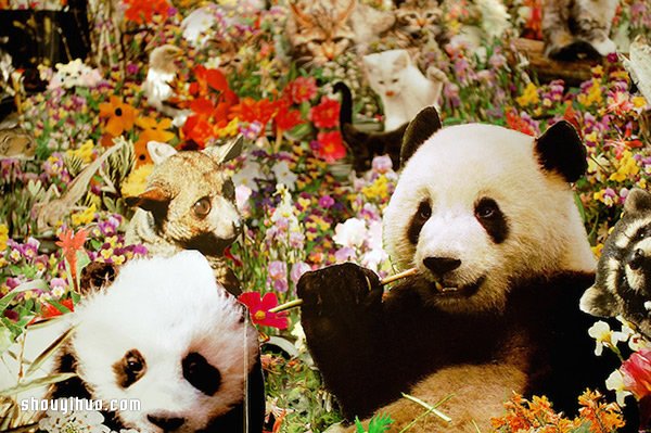 剪紙拼貼藝術(shù) 將家變成了斑斕的童話森林 -  rpnrmr.com
