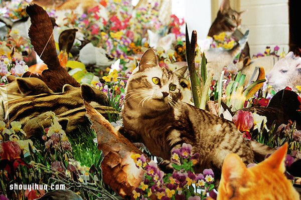 剪紙拼貼藝術(shù) 將家變成了斑斕的童話森林 -  rpnrmr.com