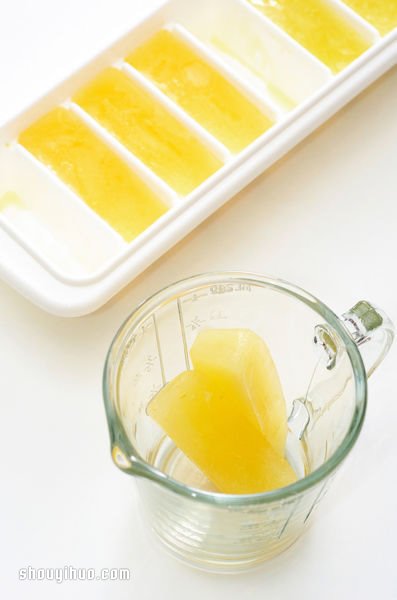 自制檸檬冰塊的方法 簡單檸檬冰塊DIY做法 -  rpnrmr.com