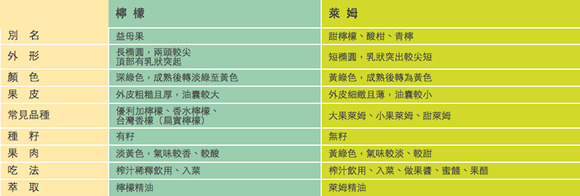 自制檸檬冰塊的方法 簡單檸檬冰塊DIY做法 -  rpnrmr.com