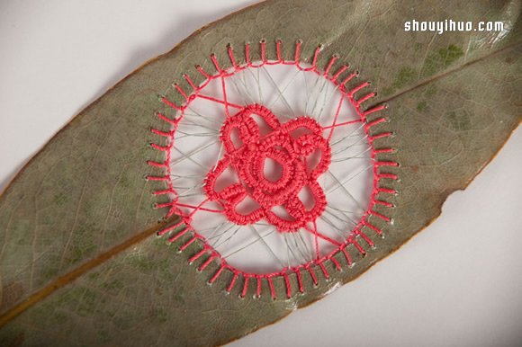 落葉上的美麗刺繡 下次路上不妨拾起一片落葉帶回家 -  rpnrmr.com