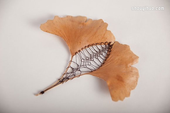 落葉上的美麗刺繡 下次路上不妨拾起一片落葉帶回家 -  rpnrmr.com