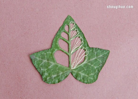 落葉上的美麗刺繡 下次路上不妨拾起一片落葉帶回家 -  rpnrmr.com